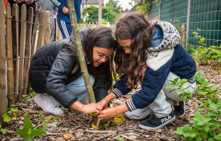 Twee kinderen meten de omtrek van een jong boompje in een tuin met een meetlint.