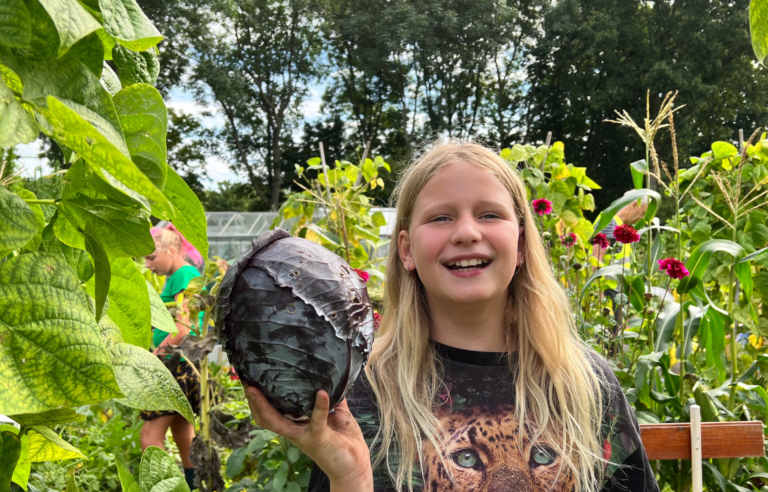 Meisje houdt een rode kool vast in een weelderige moestuin, omringd door groene planten.