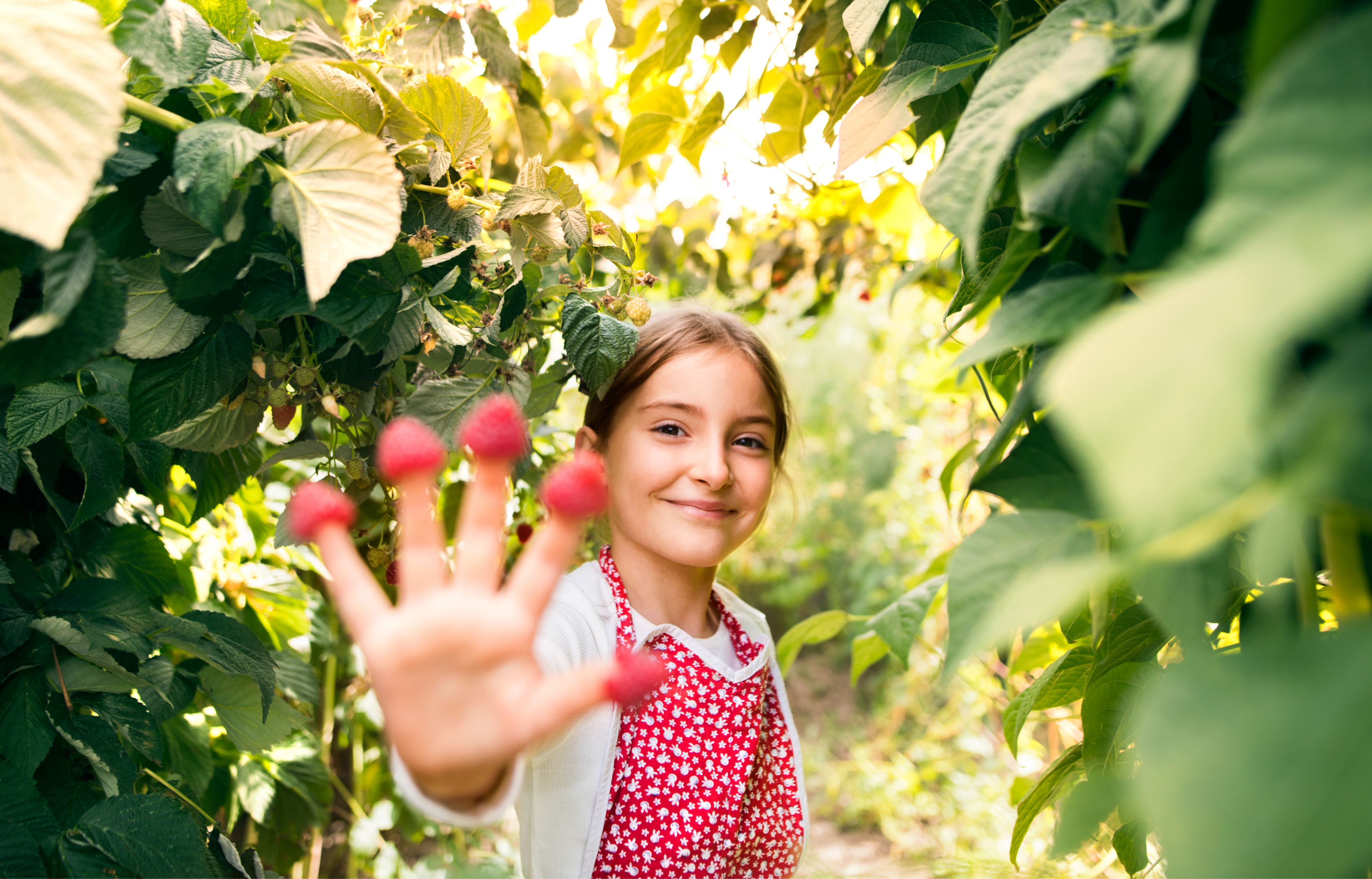 Meisje in tuin, glimlachend, met frambozen op haar vingers, omringd door groene bladeren.