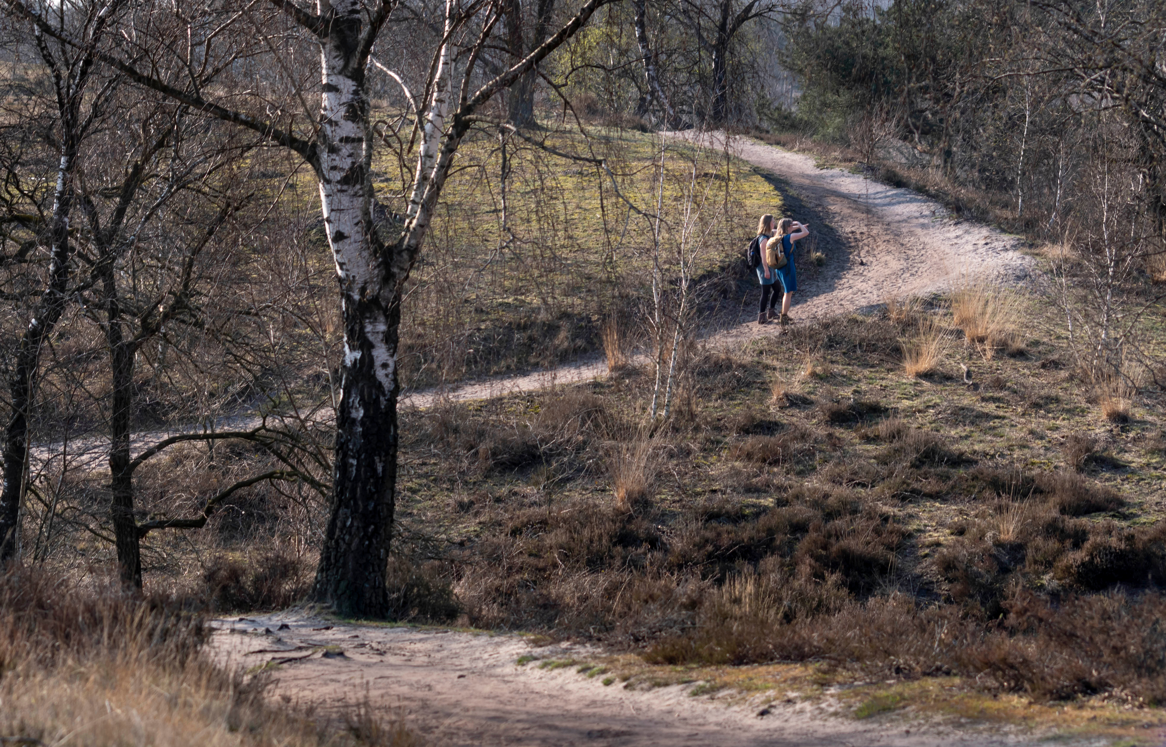 Wandelaars op een zandpad in een winterse bosrijke omgeving met kale bomen.