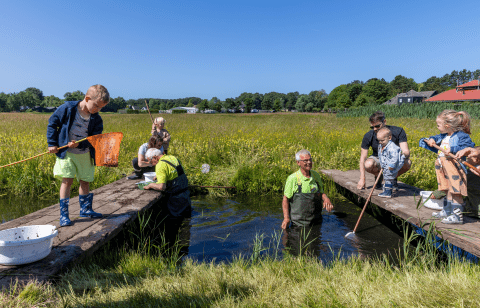 Groep kinderen en volwassenen exploreert natuurgebied met netten bij water op zonnige dag.