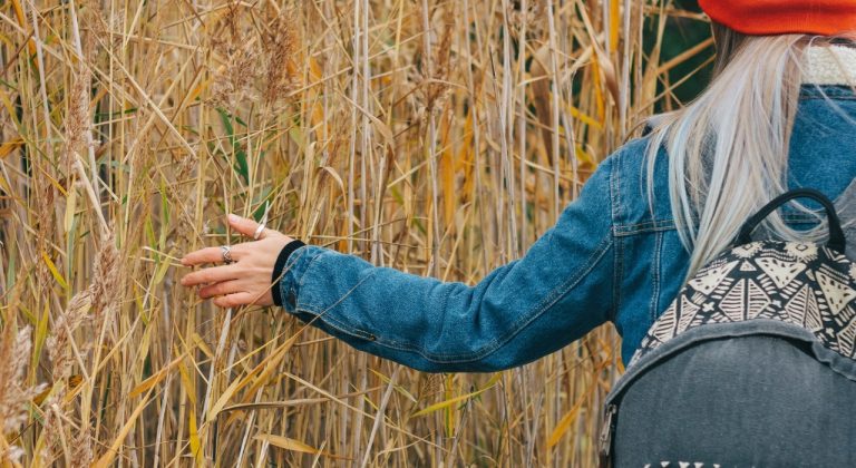 Persoon met spijkerjasje en rugzak streelt riet in een veld.