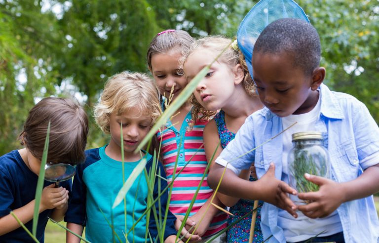 Kinderen onderzoeken planten in een bos met een vergrootglas en een pot.
