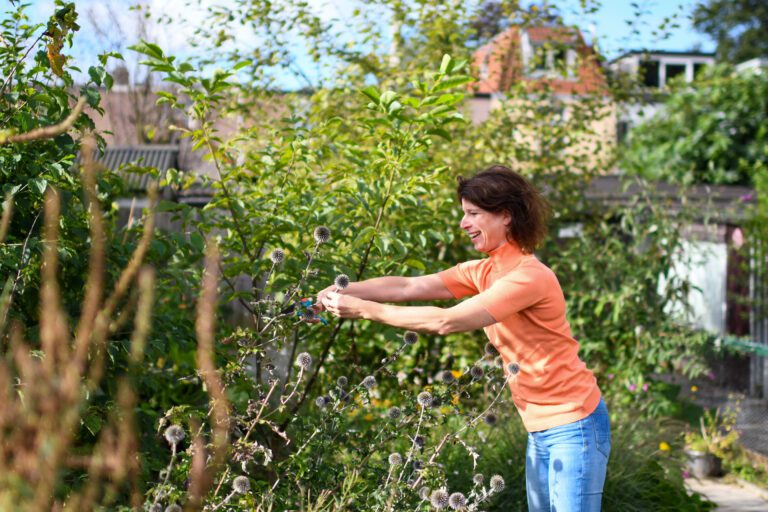 Vrouw in oranje trui snoeit planten in groene tuin op zonnige dag.