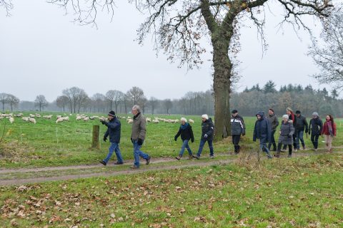 Insectenwerkgroep