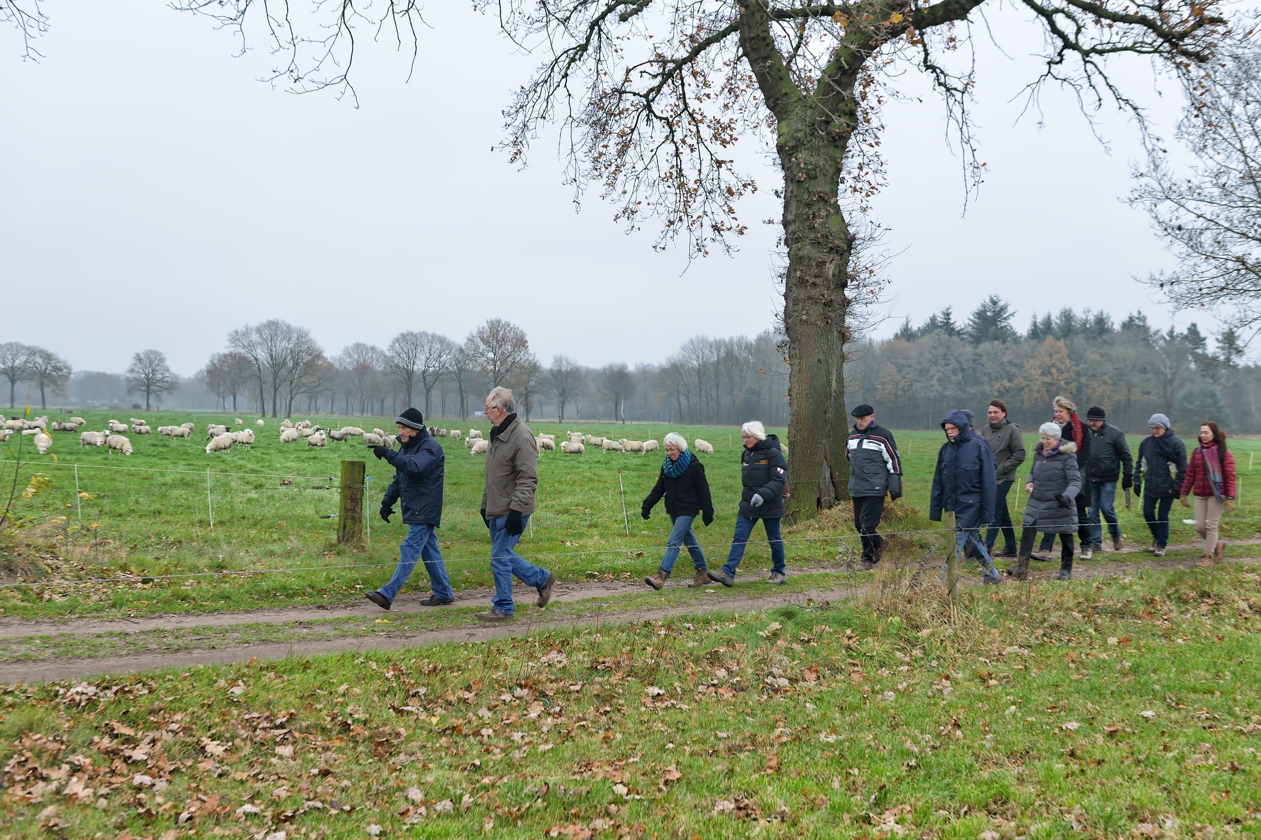 Insectenwerkgroep