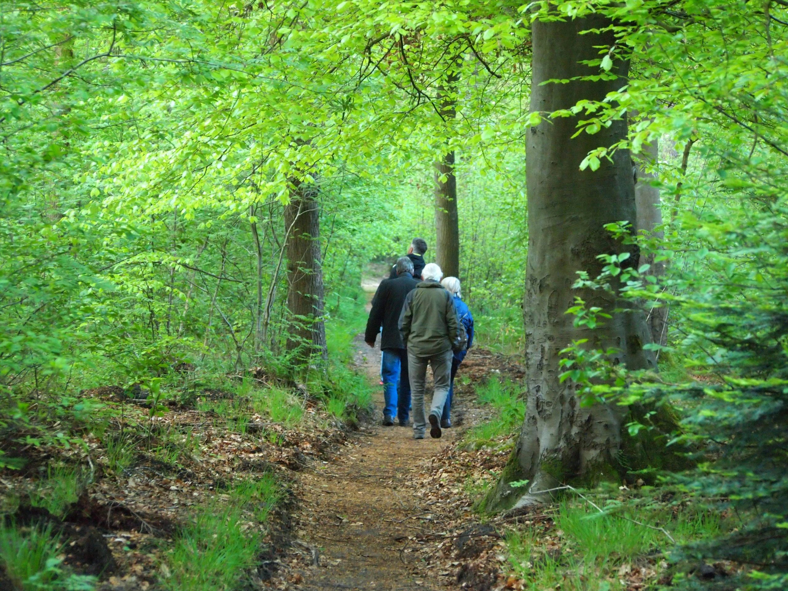 Milieu-impact van verpakkingen