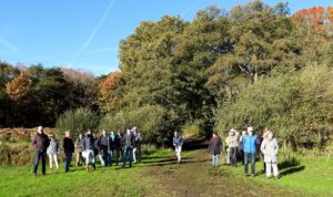 Groep mensen op een pad in een bos, omringd door groene bomen en een heldere blauwe lucht.