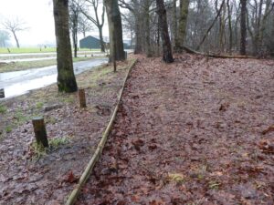 Bosrand met nat bladerdek, houten stoeprand en bomen langs een regenachtige weg.