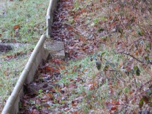 Smal modderig pad met bladeren en gras, begrensd door laag hout in een herfstlandschap.