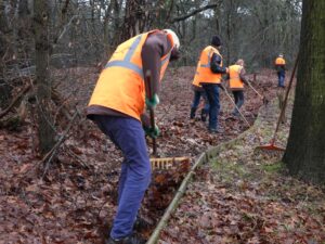 Mensen in oranje vesten harken bladeren op een bosachtig pad.