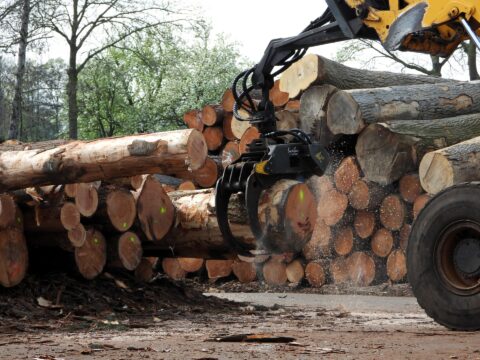 Kraan hanteert boomstammen in een bosrijke omgeving.