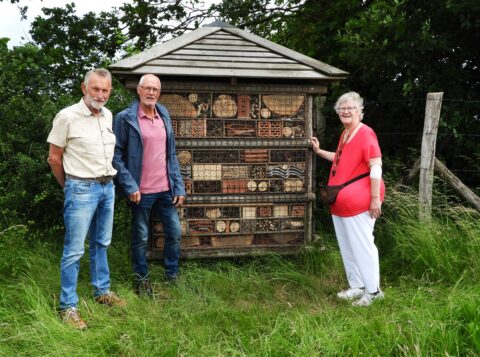 Drie mensen staan voor een groot insectenhotel in een groene omgeving.