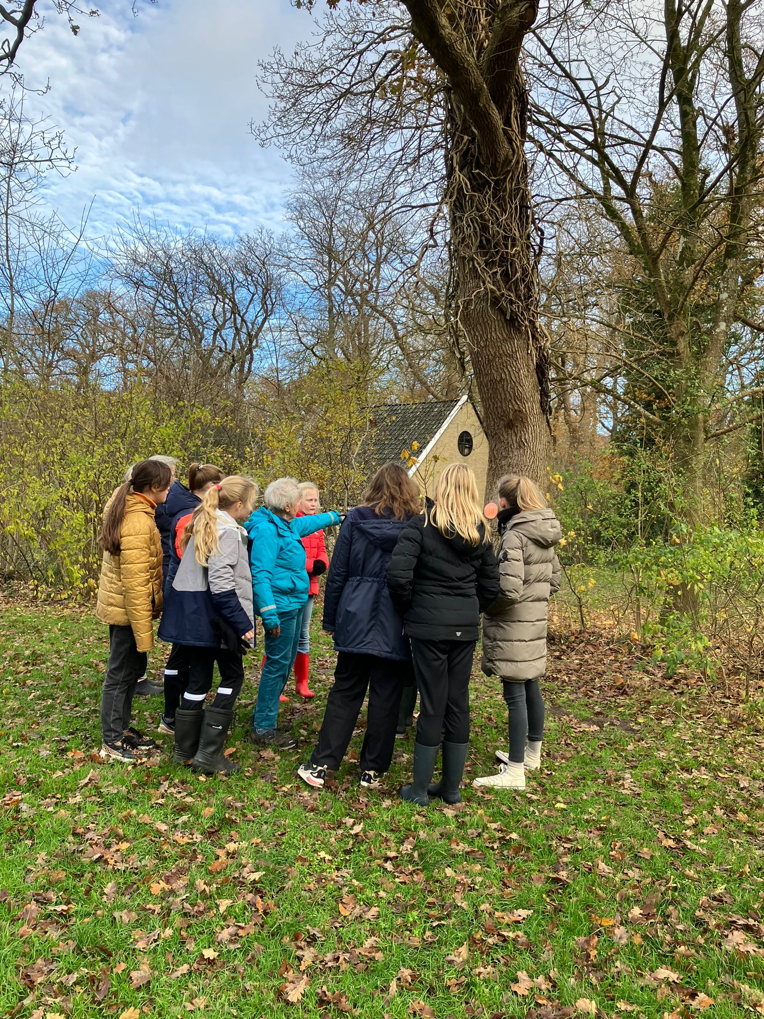 Groep kinderen verzameld onder een boom in een herfstbos, naast een houten huisje.