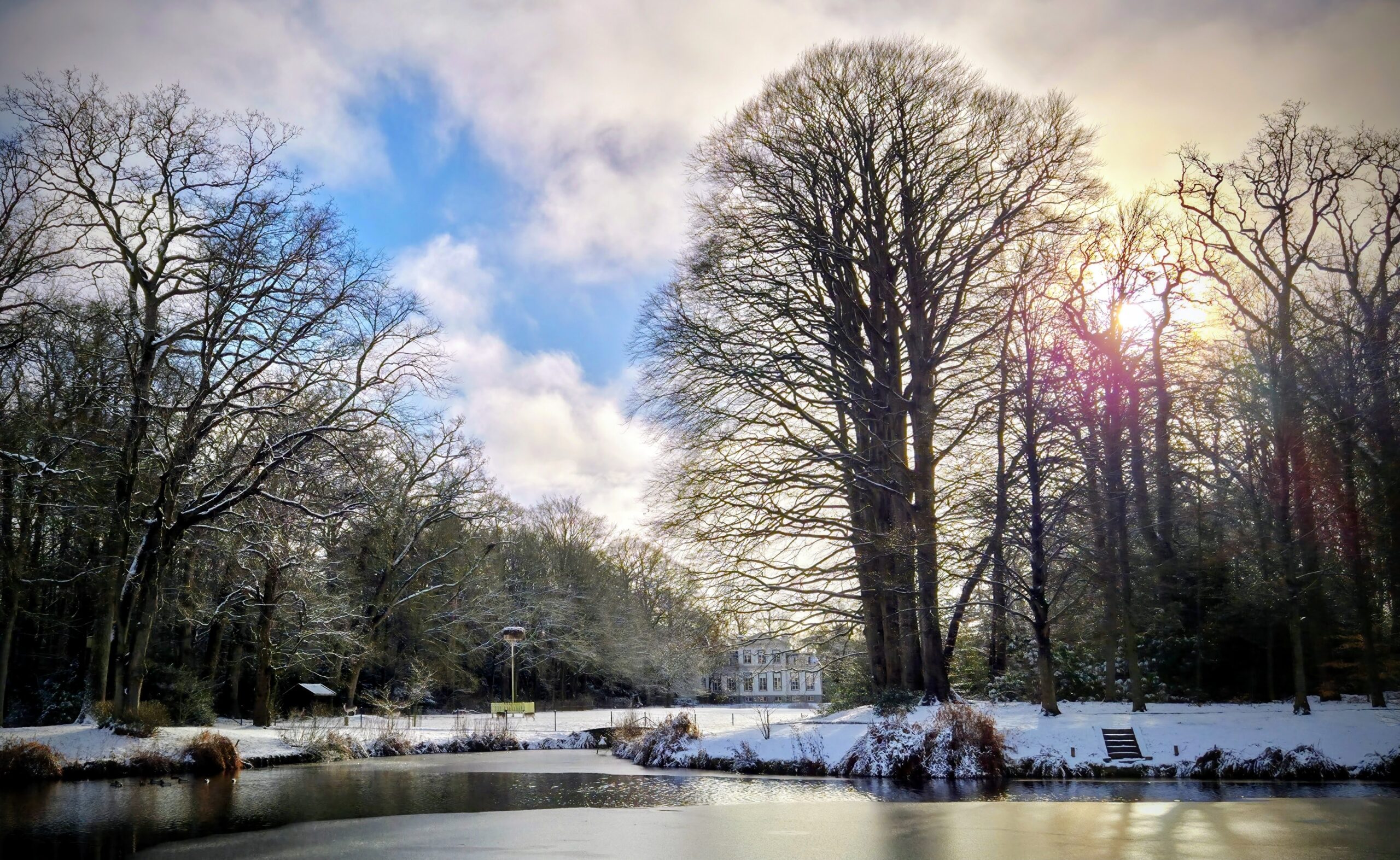 Winterlandschap met besneeuwde bomen, een bevroren vijver en zonlicht door de wolken.