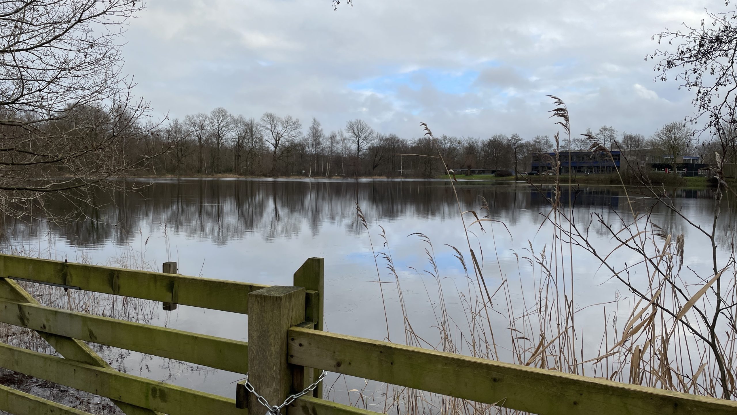 Vijver met houten hek, riet en bomen in winters landschap. Bewolkte lucht reflecteert in het water.