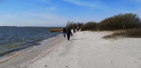 Mensen wandelen langs een kustlijn met gras en bomen onder een blauwe hemel.