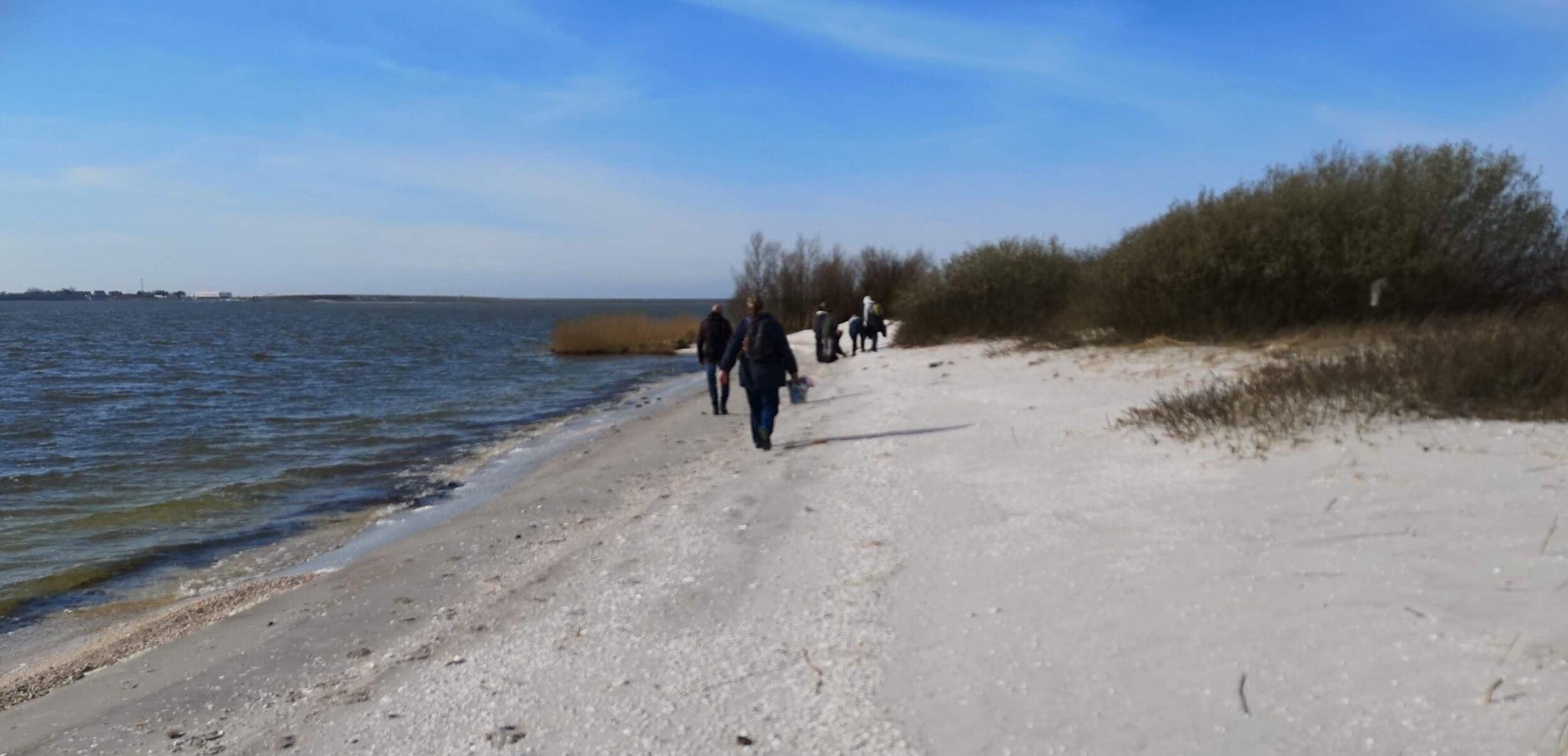 Mensen wandelen langs een kustlijn met gras en bomen onder een blauwe hemel.