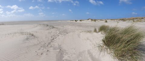 Zandduinen met gras op een uitgestrekt strand onder een blauwe, bewolkte lucht.