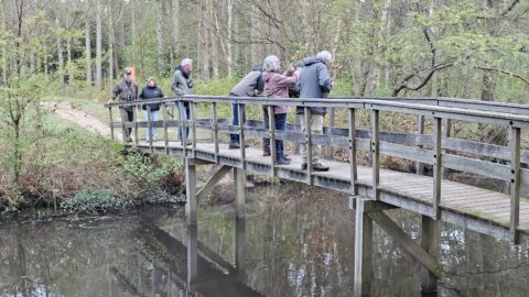 Mensen op een houten brug in een bosrijke omgeving staren naar het water.