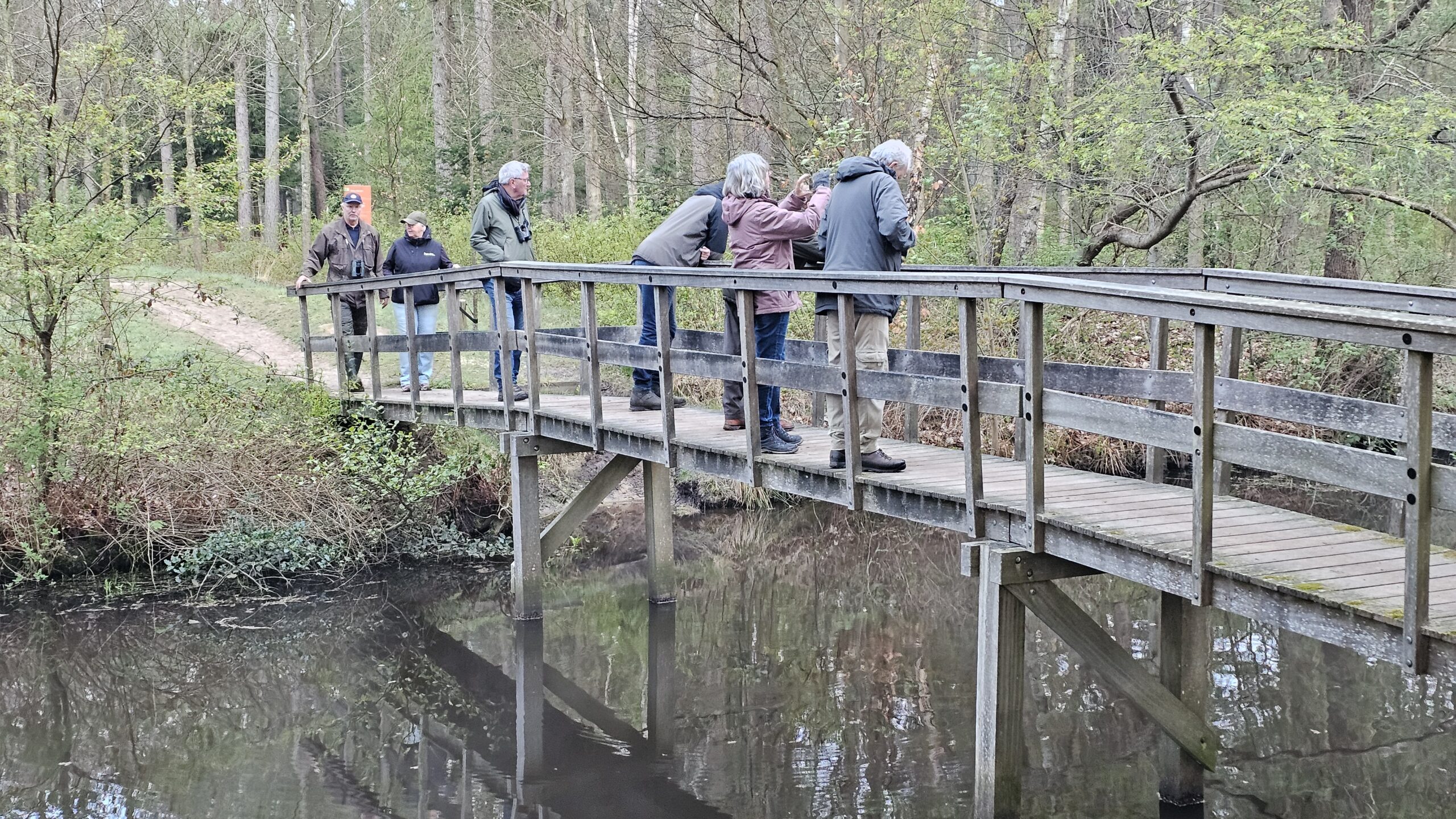 Mensen op een houten brug in een bosrijke omgeving staren naar het water.