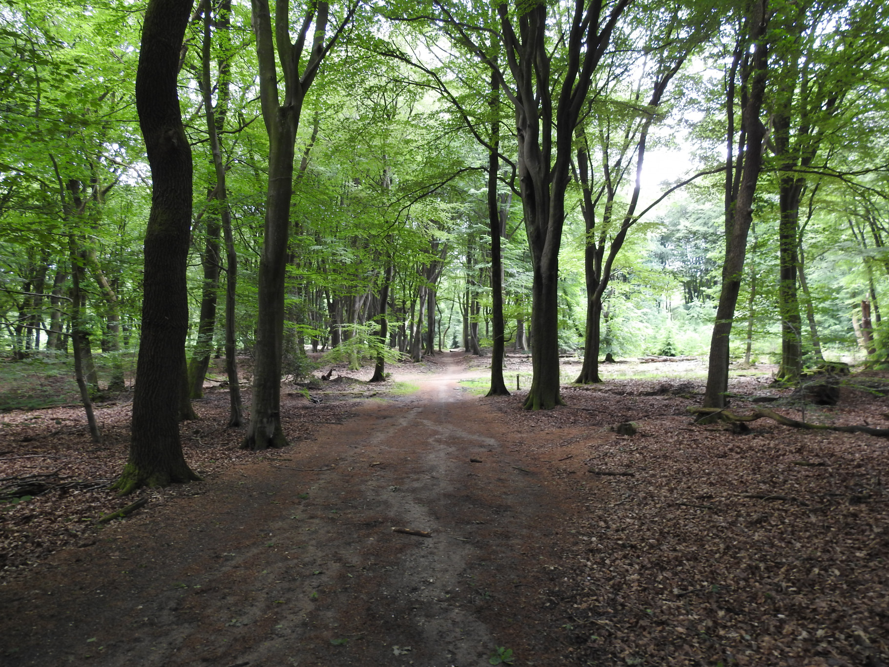 Ecologie en enkele kringlopen