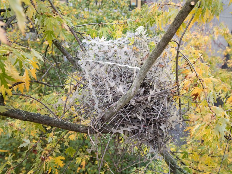 Kunstig vogelnest van twijgen en witte vormen, omlijst door herfstbladeren in een boom.