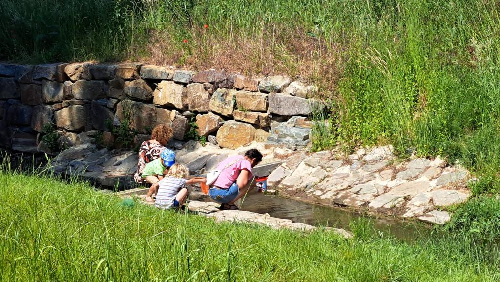 Mensen onderzoeken water in een groene omgeving bij een stenen muur.