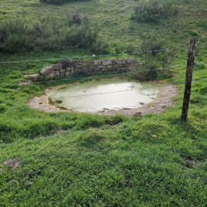 Verlaten vijver met stenen muur en prikkeldraad in groene weide.