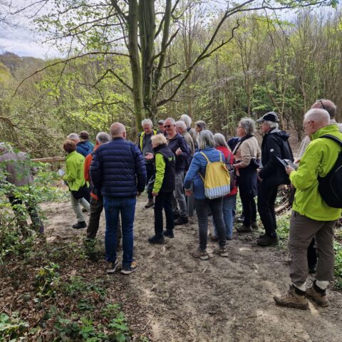 Groep mensen wandelt in bebost gebied, met enkele gidsen in groene jassen.