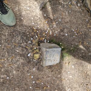 Stenen blok met het getal 49 op een modderige ondergrond, omgeven door bloemen en takjes.