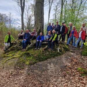 Een groep mensen poseert op een boomstronk in een bosrijke omgeving.