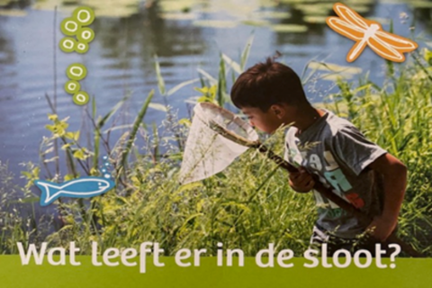 Jongen met net bij sloot, illustraties van waterleven: vis, algen en libelle; tekst: "Wat leeft er in de sloot?"