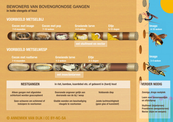 bewoners bovengrondse gangen