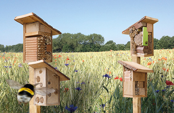insectenhotel voor bijen