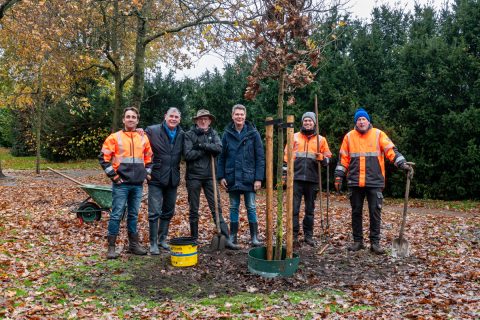 bommen planten