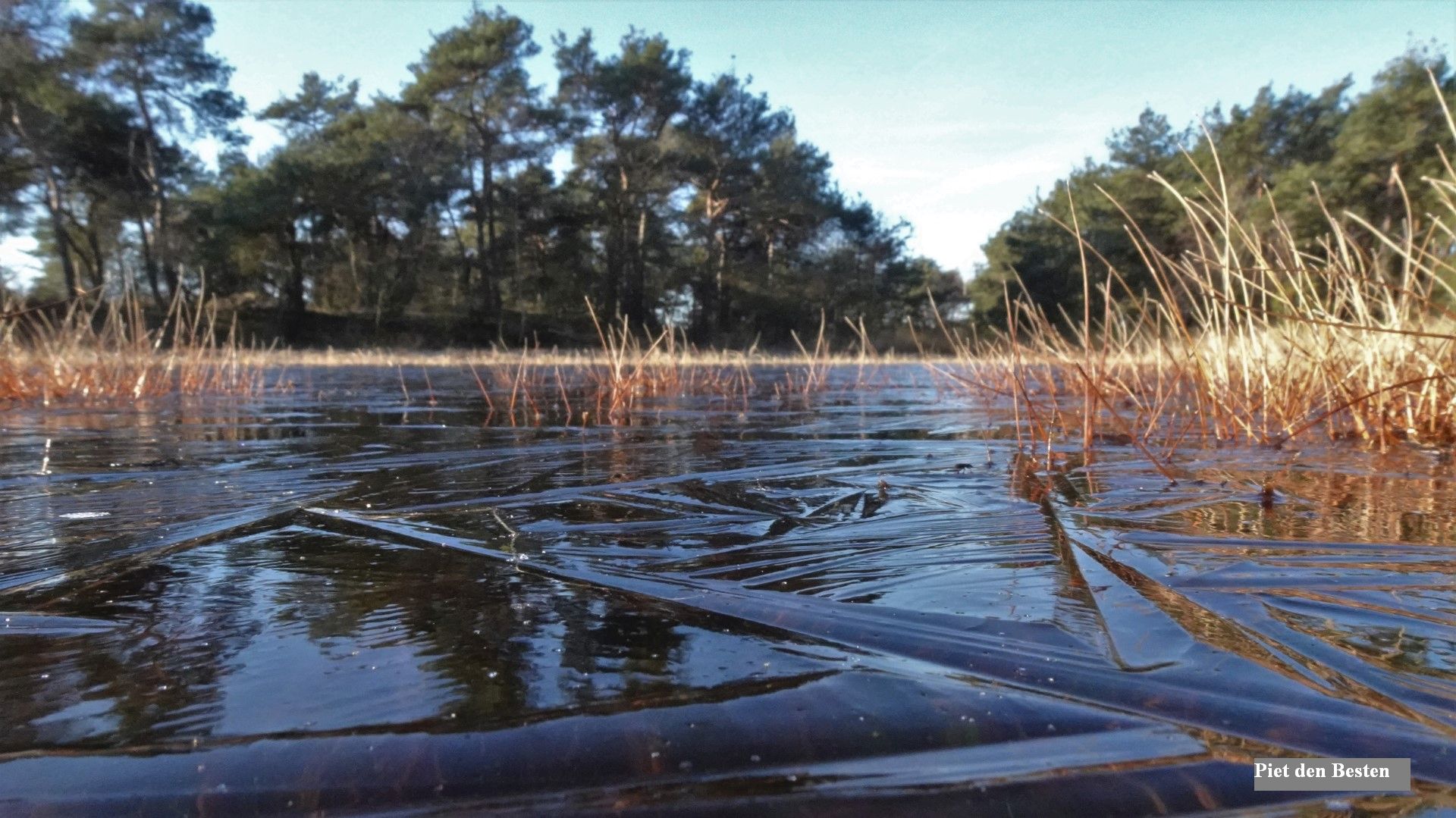 ijs op de heide