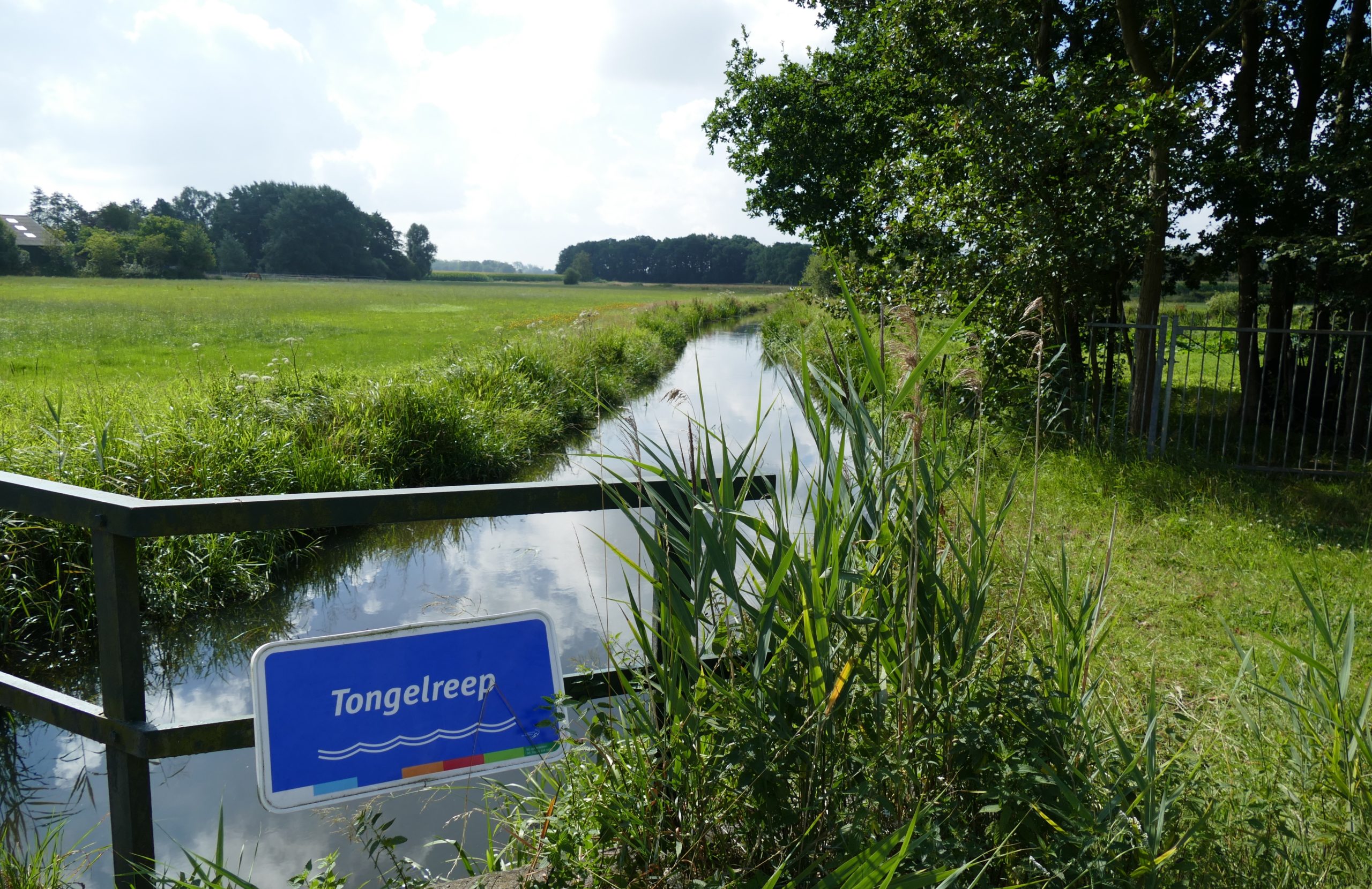 Bord "Tongelreep" bij smalle beek omringd door groene velden en bomen onder een bewolkte hemel.
