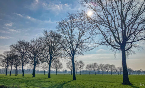 eiken randweg