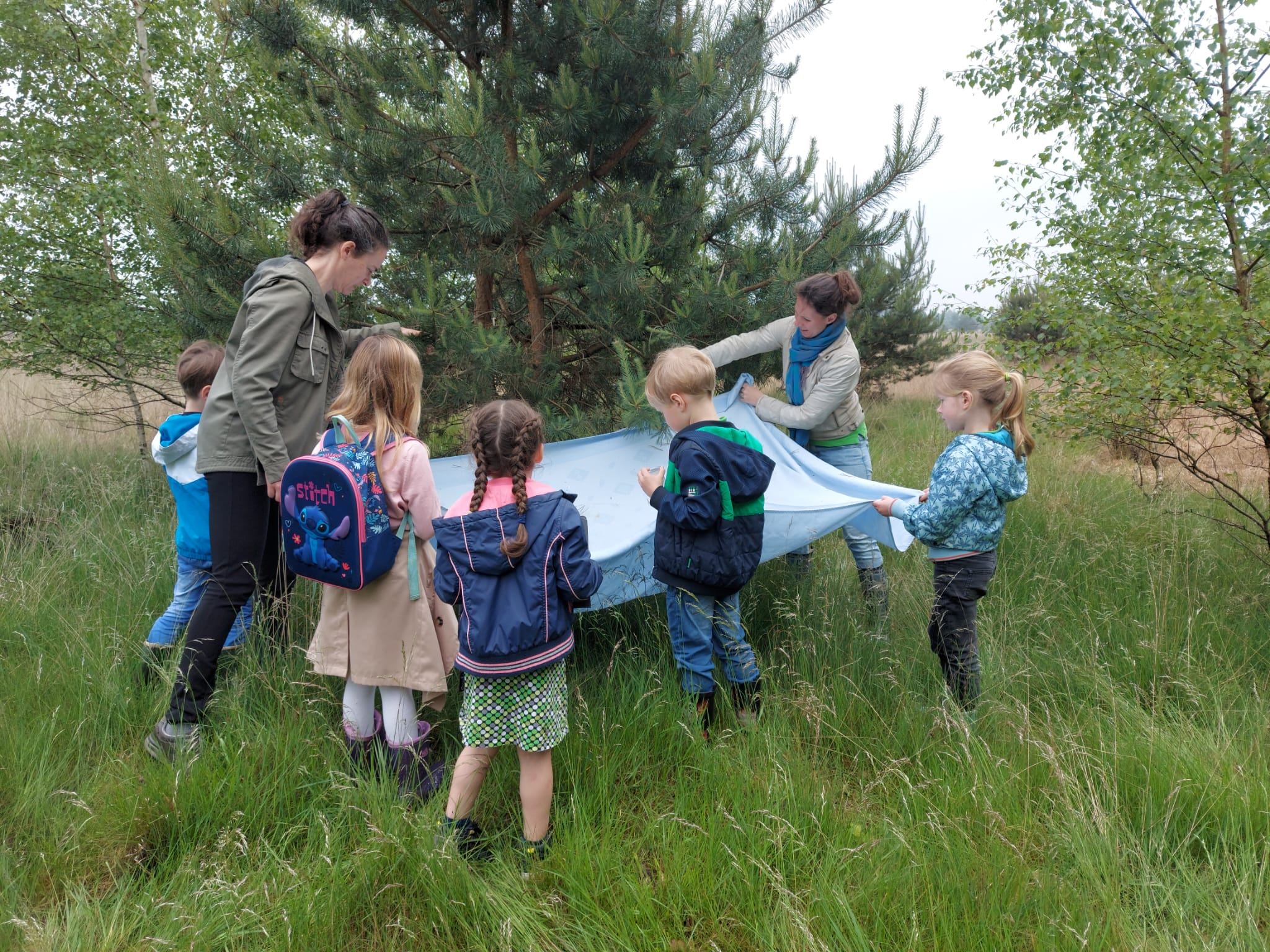 Groep kinderen en volwassenen inspecteren een wit doek onder een boom in een groene, bosrijke omgeving.