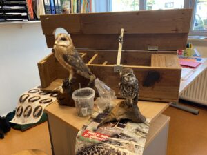 uilenballen uitpluizen 2