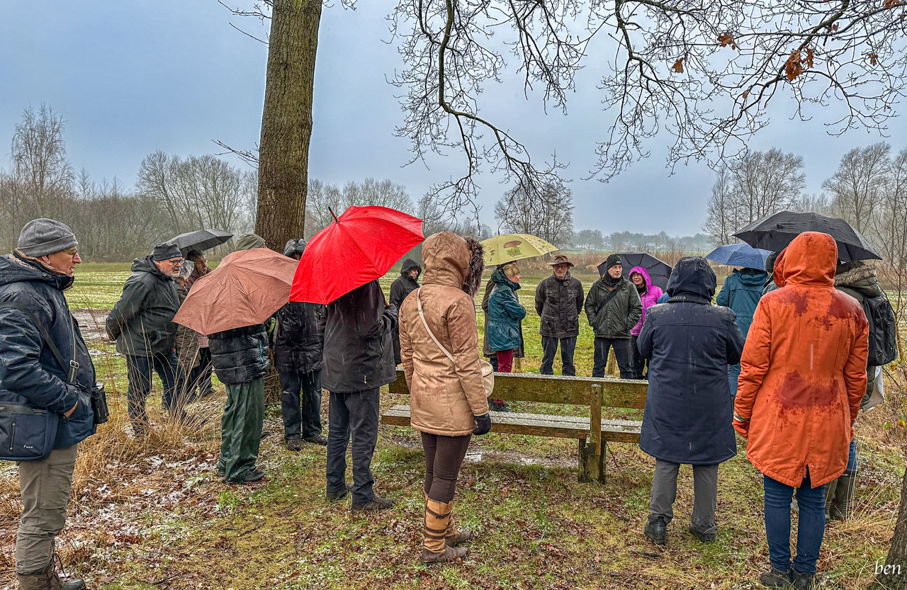 Groep mensen met paraplu's in een regenachtig park, omringd door bomen.