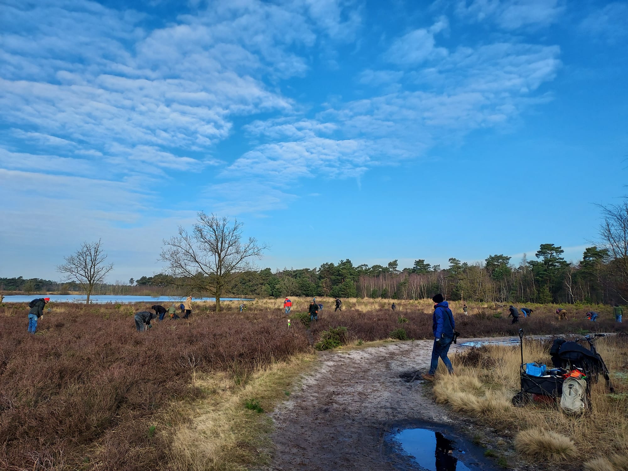 Mensen werken in een uitgestrekt, open natuurgebied met bomen en een helderblauwe lucht.