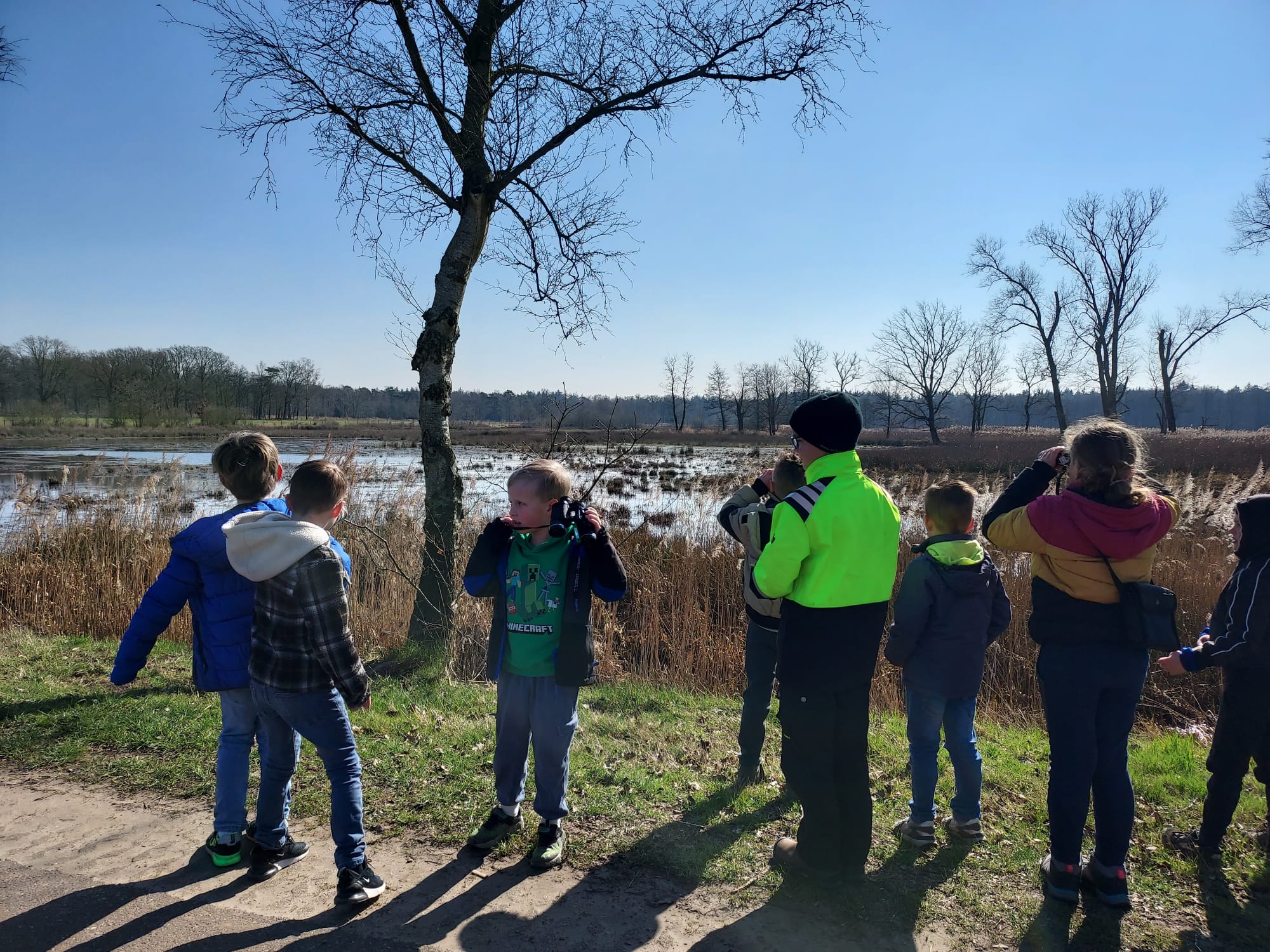 Kinderen kijken naar een moeraslandschap met verrekijkers op een zonnige dag.