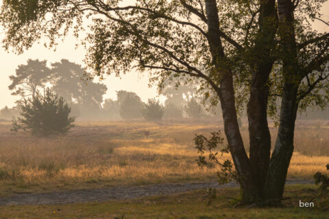Strabrechtse Heide