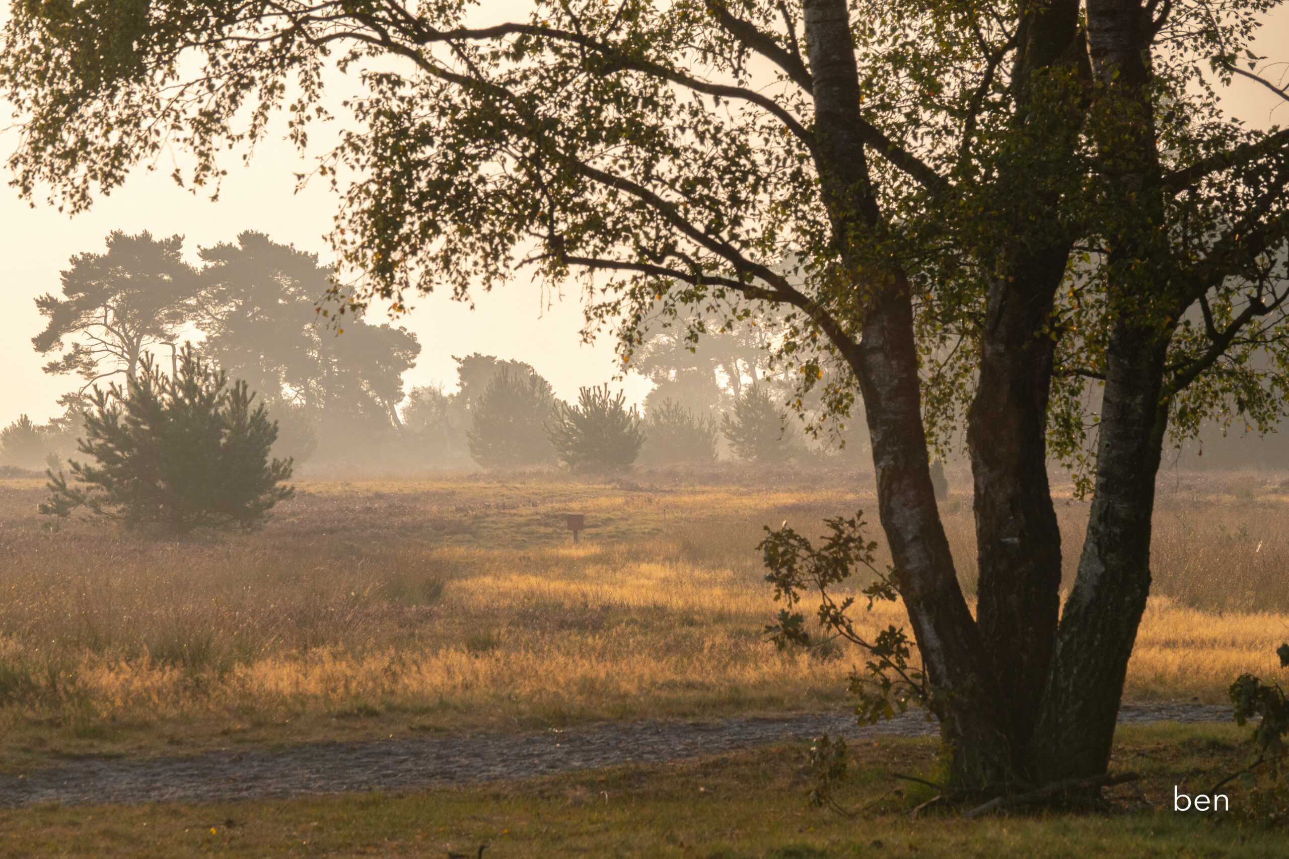 Strabrechtse Heide