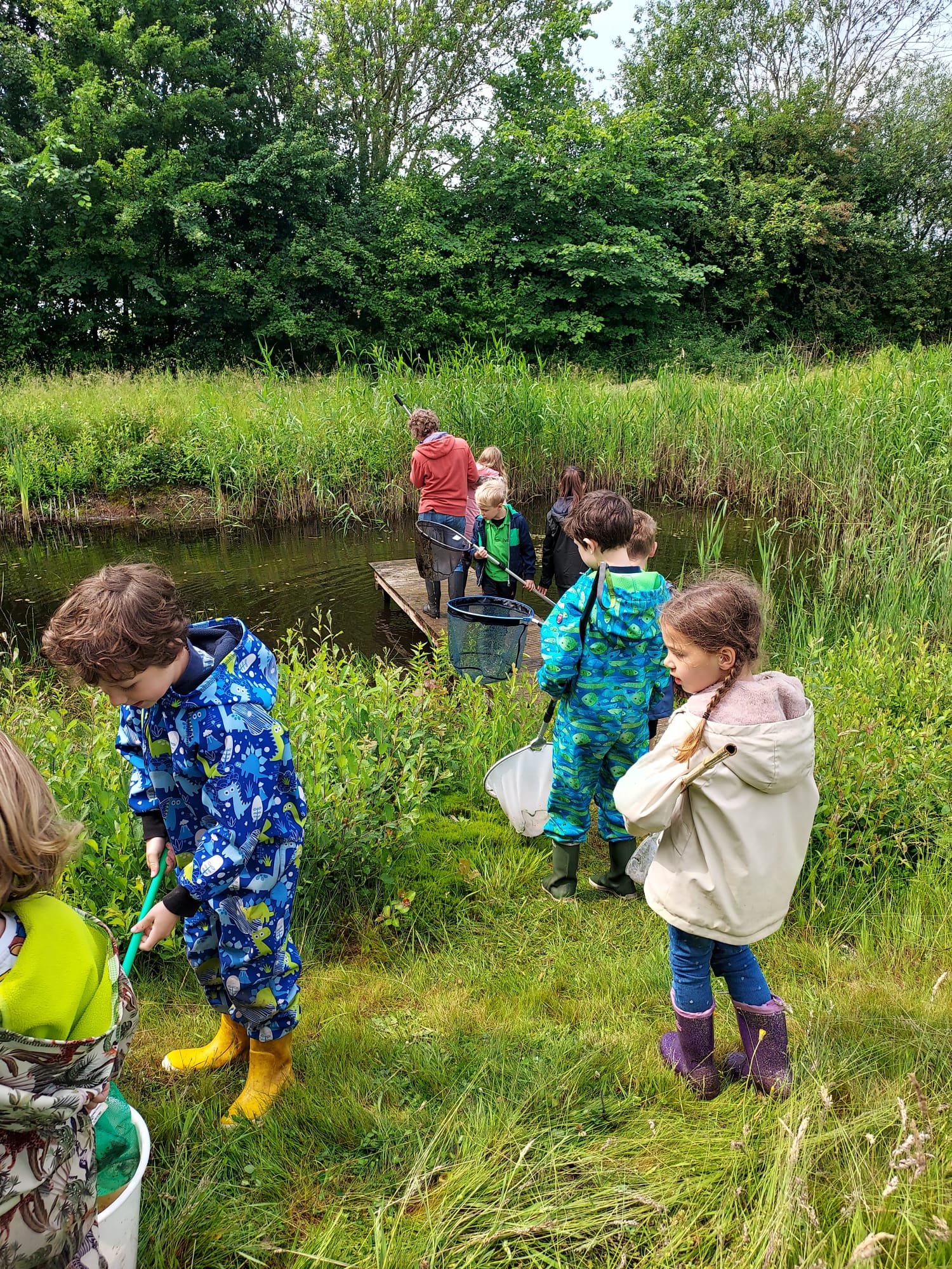 Kinderen vangen waterdieren in een sloot, omringd door gras en bomen op een zonnige dag.