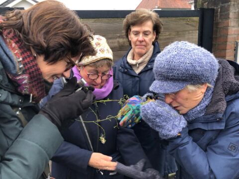 Vier mensen inspecteren een plant met loepjes buiten, gekleed in warme winterkleding.