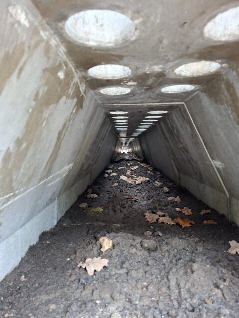 Betonnen tunnel met ronde openingen, bedekt met aarde en herfstbladeren.