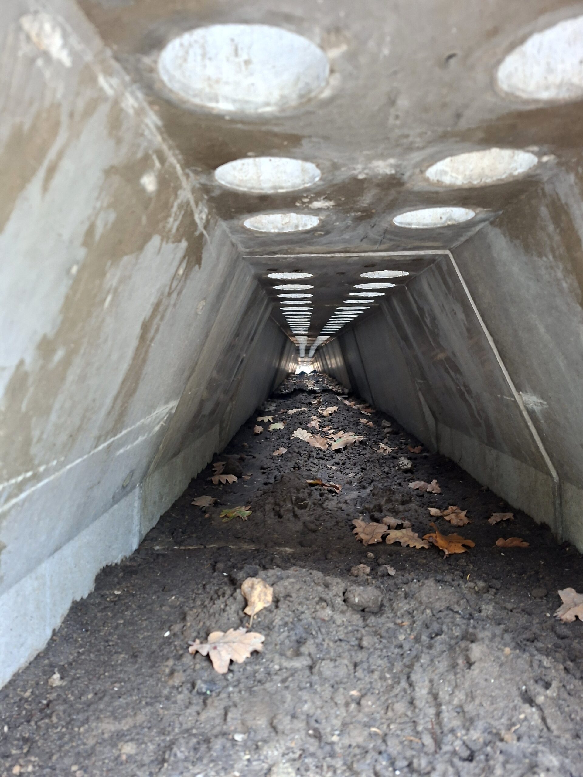 Betonnen tunnel met ronde openingen, bedekt met aarde en herfstbladeren.